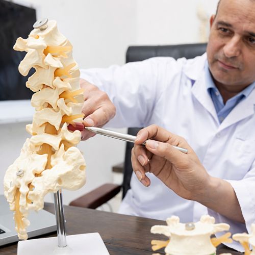 Ergonomics & Workplace Spine Health Programs